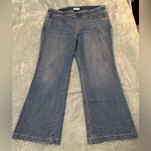 Lane Bryant Pull-On High Rise Boot Cut Jeans